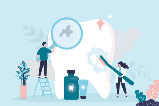 Best Dental X-Rays and Imaging  in South Bradenton, FL